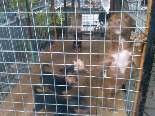 Img00007-20111021-1602