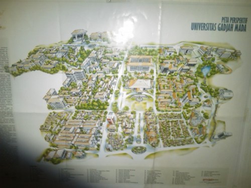 Img00010-20111022-1152