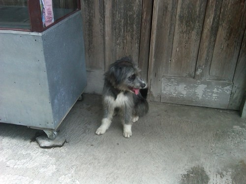 Img00058-20111105-0953