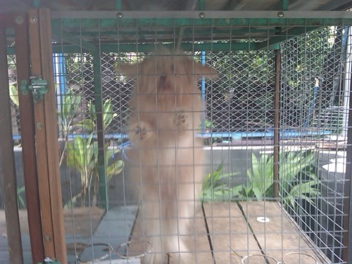 Img00073-20111113-1434