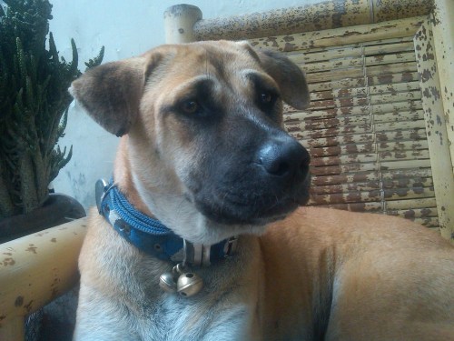 Img00149-20120106-1617