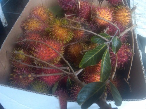 Img00163-20120114-1558