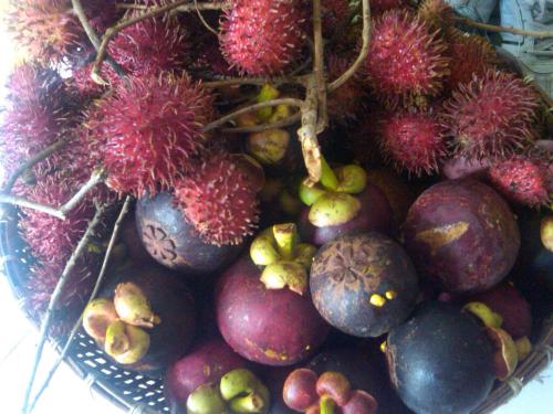 Img00312-20120306-1254