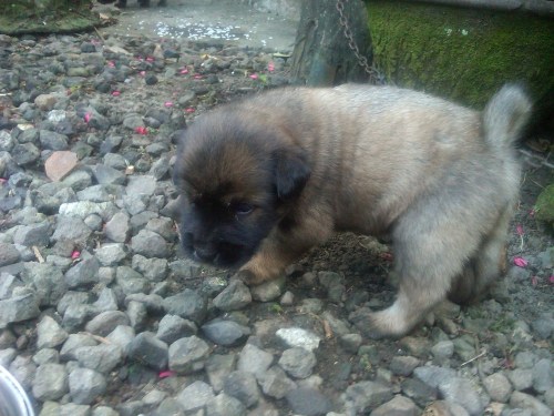 Img00370-20120328-0747