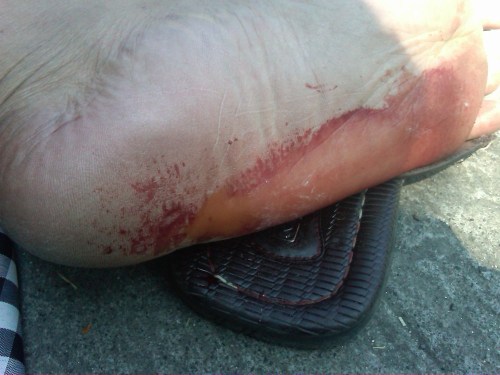 Img00403-20120402-1351