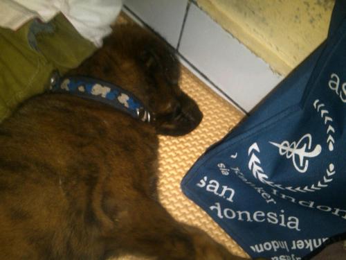 Img00485-20120522-1846