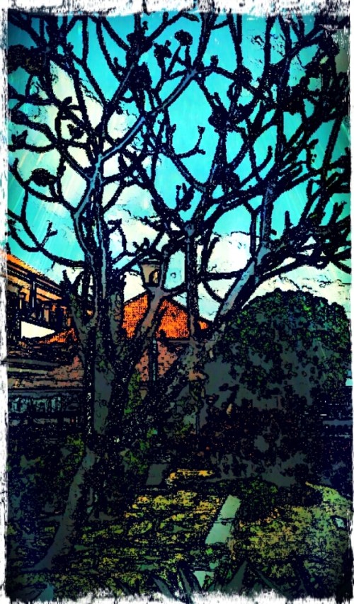 Cartooncamera_1340940163785_so