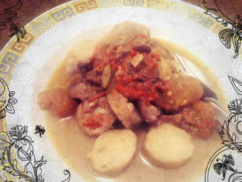 Camera_anne_cactus_rosalia1