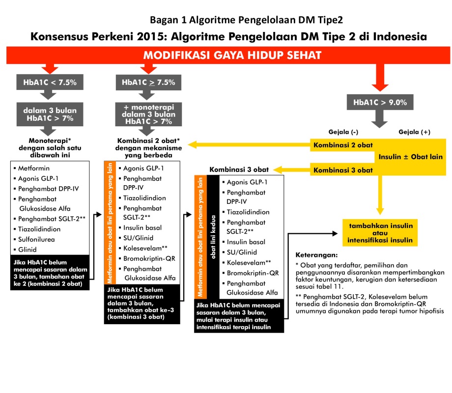 Algoritme Pengelolaan DM.jpg